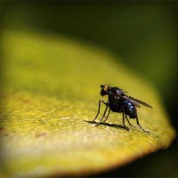 /album/market-in/photolia-a07-jpg/
